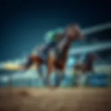 Thoroughbred racehorse galloping on the track